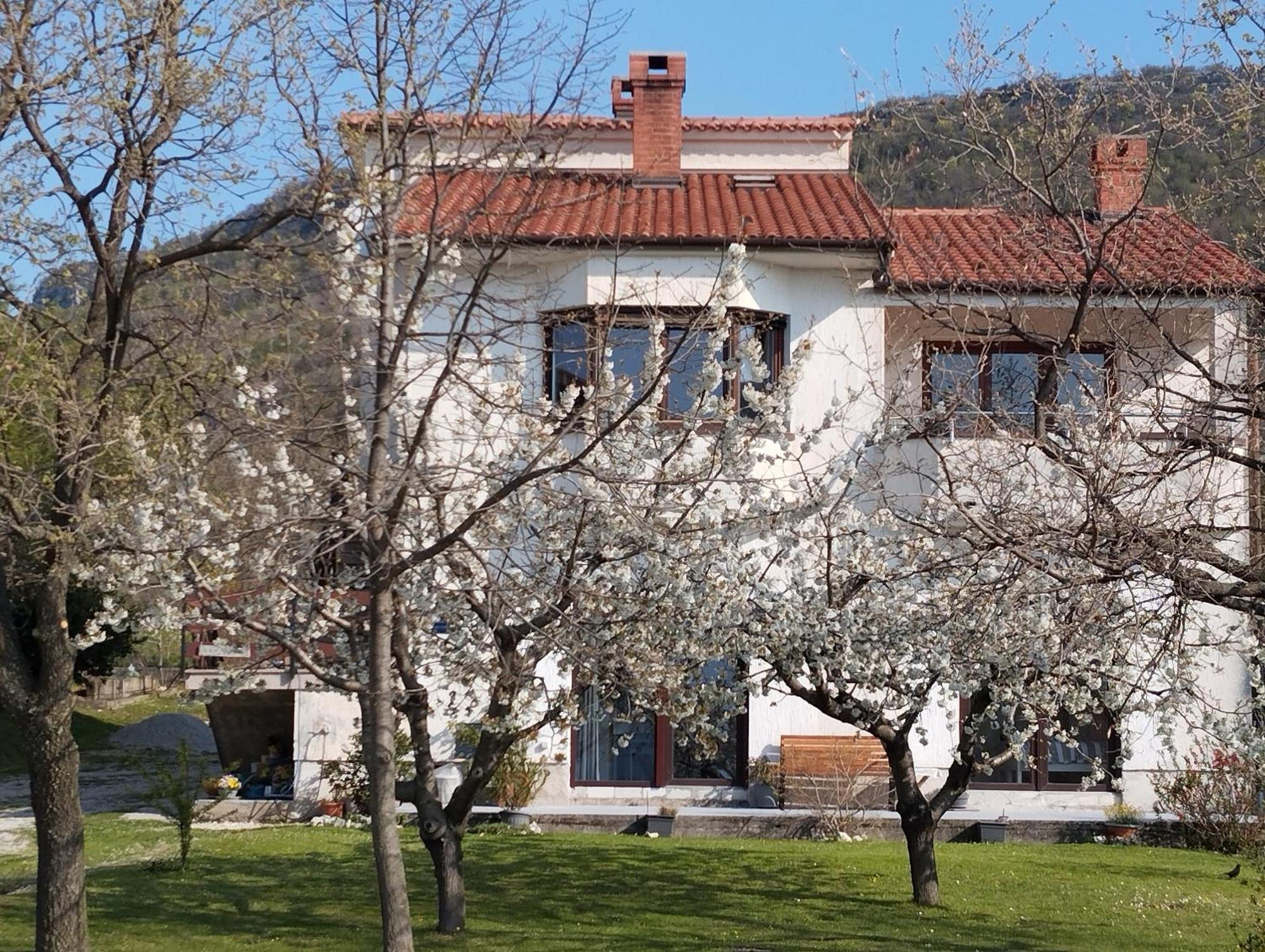 Daal Apartman Roč Kültér fotó